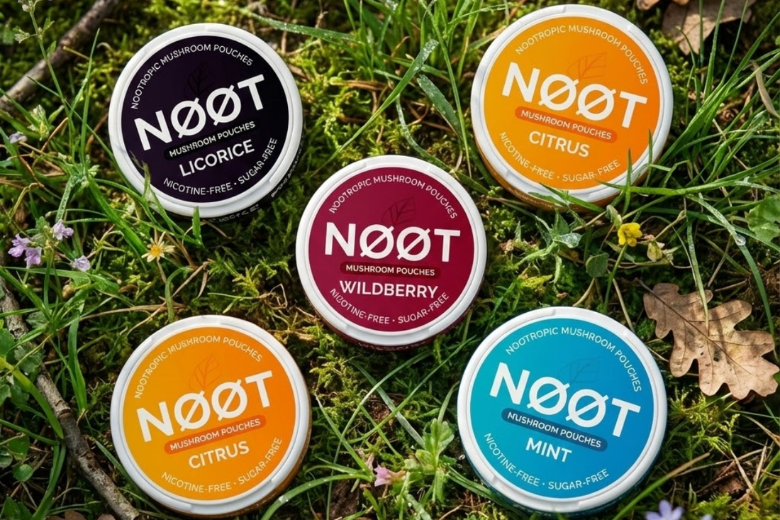 Hvad er nootropics? Din guide til naturligt fokus og mental energi