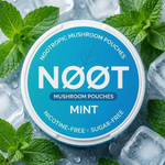 NØØT NOOTROPIC POUCHES